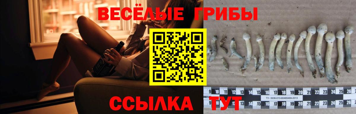 Галлюциногенные грибы Psilocybe  Псилоцибиновые грибы мухоморы  Вход с VPN  Красноармейск 