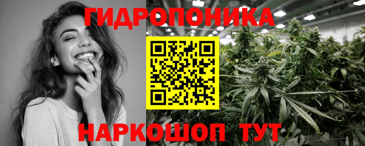 Красноармейск  Канабис семена  Вход с VPN  Каннабис Amnesia 